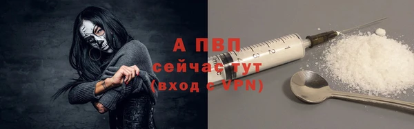 винт Горно-Алтайск