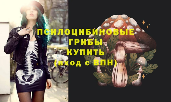 mdma Горняк