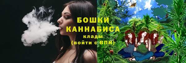 винт Горно-Алтайск