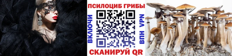 Галлюциногенные грибы MAGIC MUSHROOMS  Купить где  Назарово 